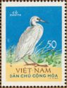 Pacific Reef Heron (Egretta sacra)